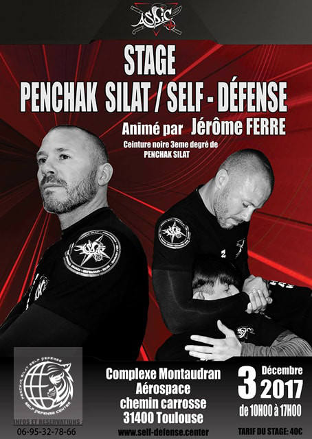 Stage avec Jérôme Ferré, expert en Silat et self-défense