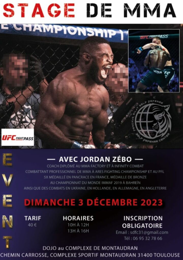 Stage de MMA avec Jordan Zébo à Toulouse